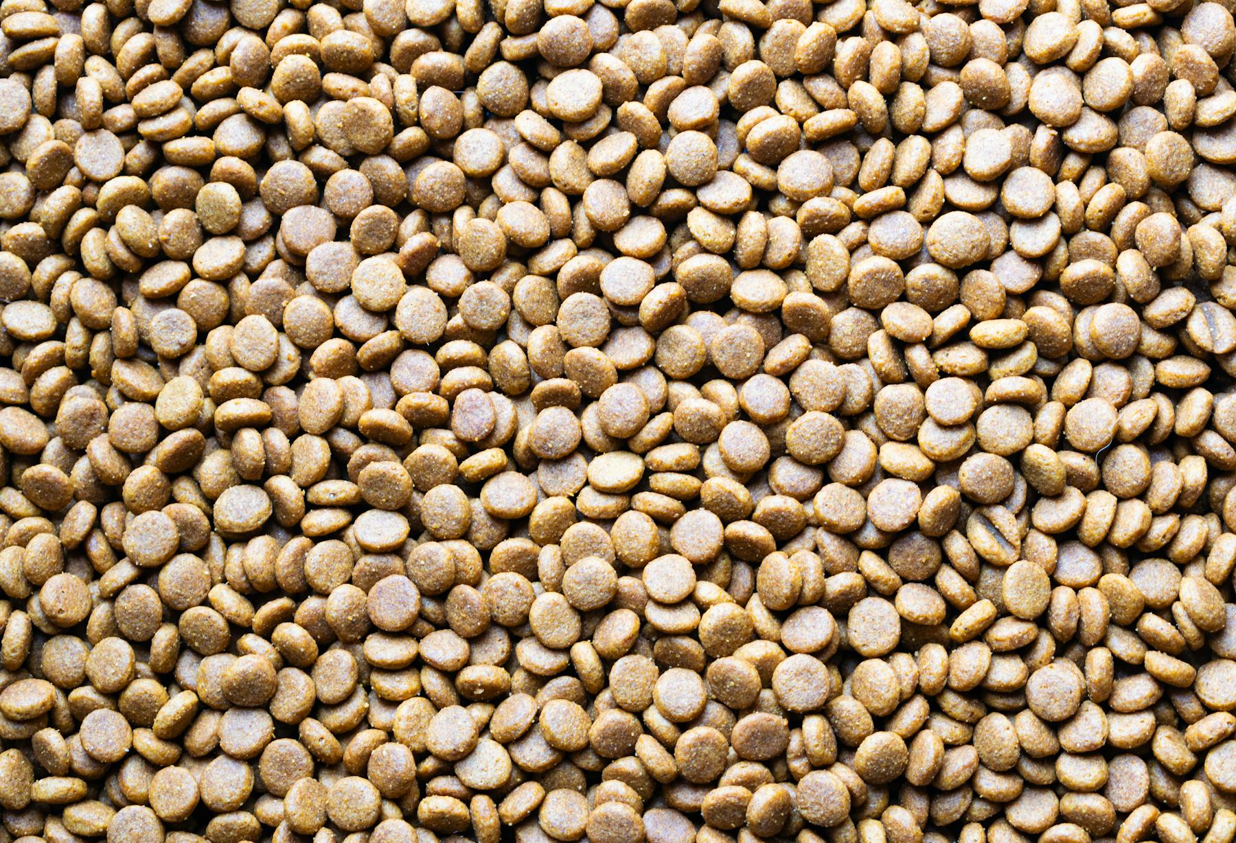 Bags of premium dog food neatly stacked, showcasing different flavours and brands.